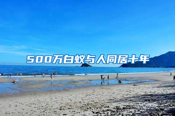 500萬白蟻與人同居十年