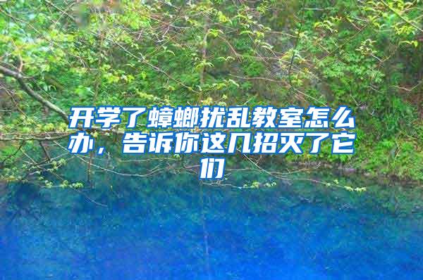 開學了蟑螂擾亂教室怎么辦，告訴你這幾招滅了它們