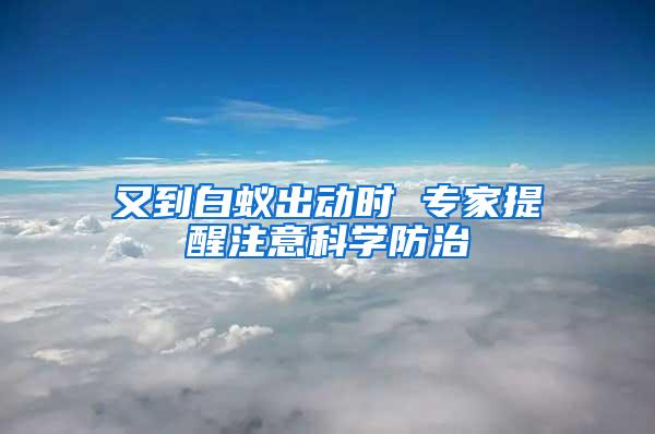 又到白蟻出動(dòng)時(shí) 專家提醒注意科學(xué)防治
