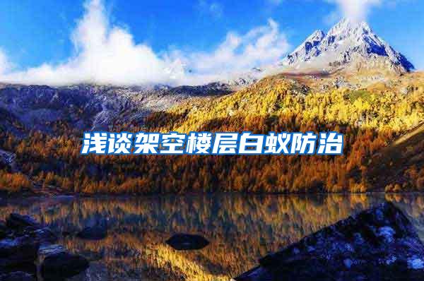 淺談架空樓層白蟻防治