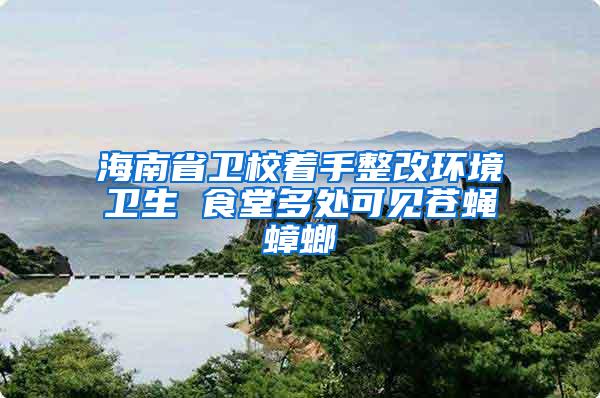 海南省衛校著手整改環境衛生 食堂多處可見蒼蠅蟑螂