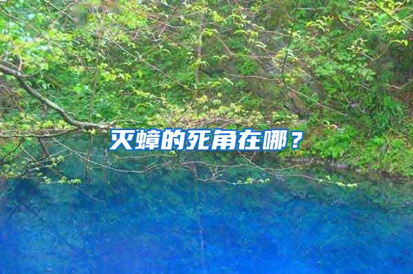 滅蟑的死角在哪？
