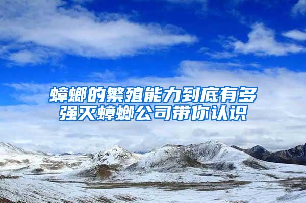 蟑螂的繁殖能力到底有多強滅蟑螂公司帶你認識