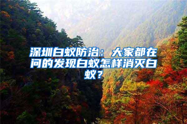 深圳白蟻防治：大家都在問的發現白蟻怎樣消滅白蟻？
