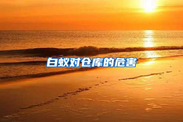 白蟻對倉庫的危害