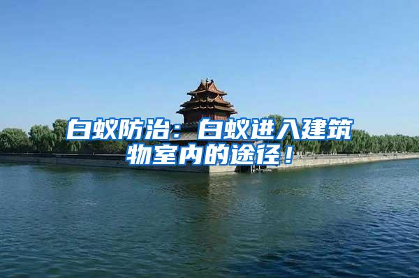 白蟻防治：白蟻進入建筑物室內(nèi)的途徑！