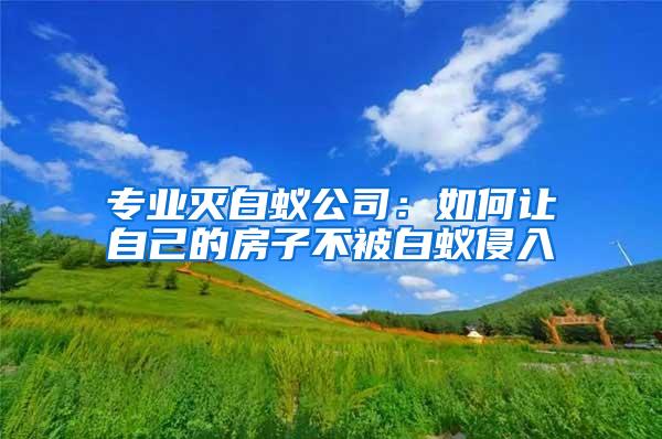 專業滅白蟻公司：如何讓自己的房子不被白蟻侵入