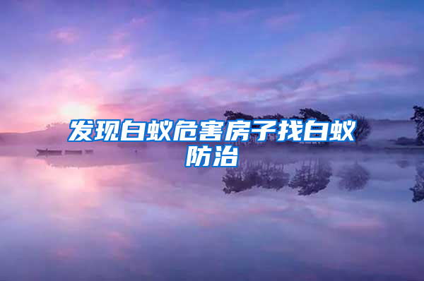 發現白蟻危害房子找白蟻防治