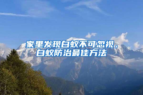 家里發現白蟻不可忽視，白蟻防治最佳方法