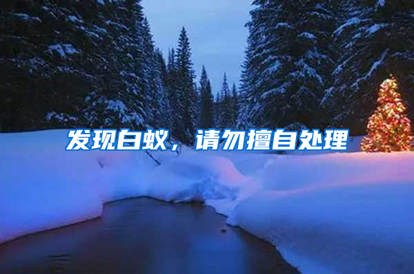 發現白蟻，請勿擅自處理