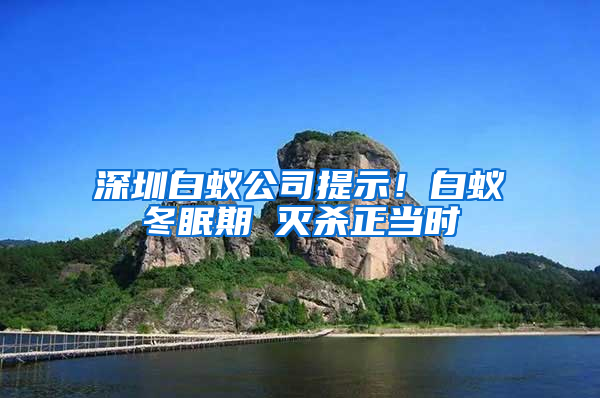 深圳白蟻公司提示！白蟻冬眠期 滅殺正當(dāng)時(shí)