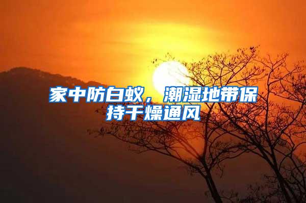 家中防白蟻，潮濕地帶保持干燥通風