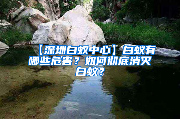 【深圳白蟻中心】白蟻有哪些危害？如何徹底消滅白蟻？
